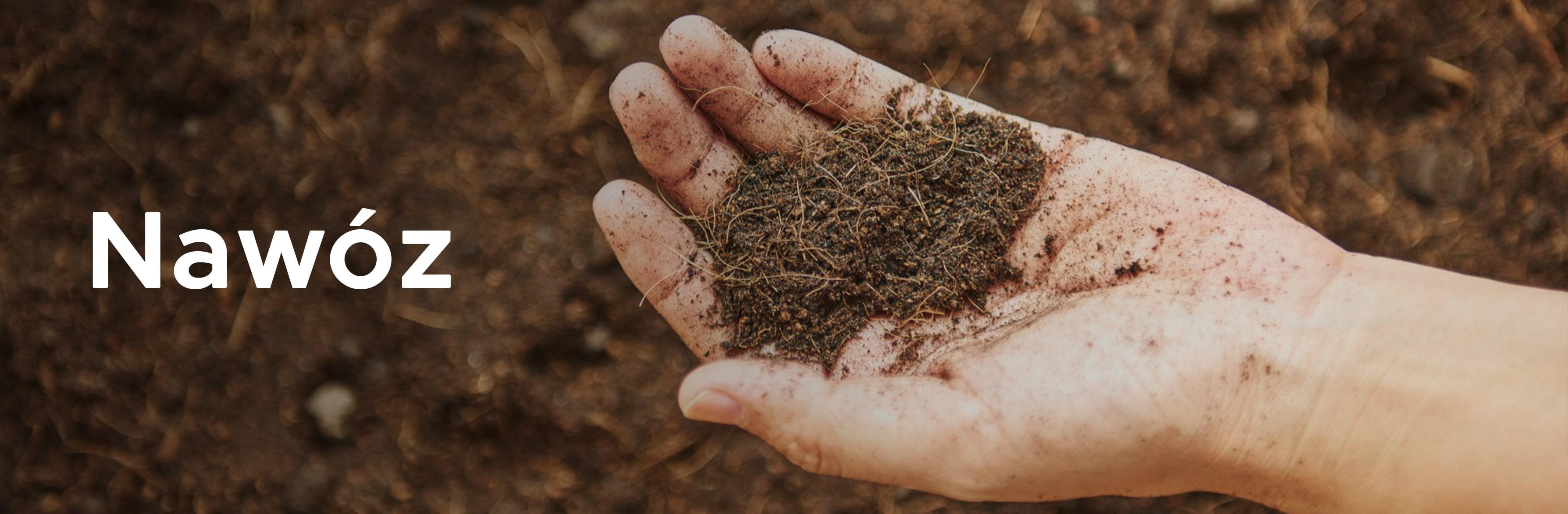 Naturalny nawóz z popiołu z pelletu — ręka trzymająca nawóz organiczny, zastosowanie popiołu z pelletu do poprawy jakości gleby