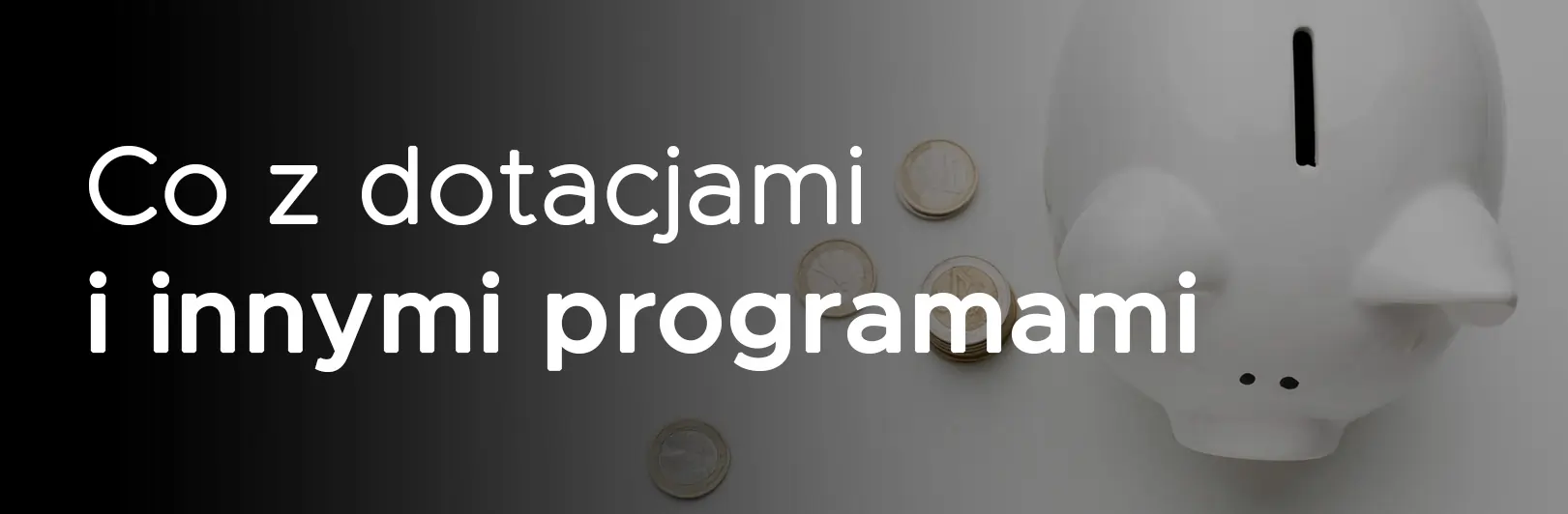 Skarbonka z zaoszczędzonymi pieniędzmi na wymianę pieca centralnego ogrzewania na pellet 5 klasy