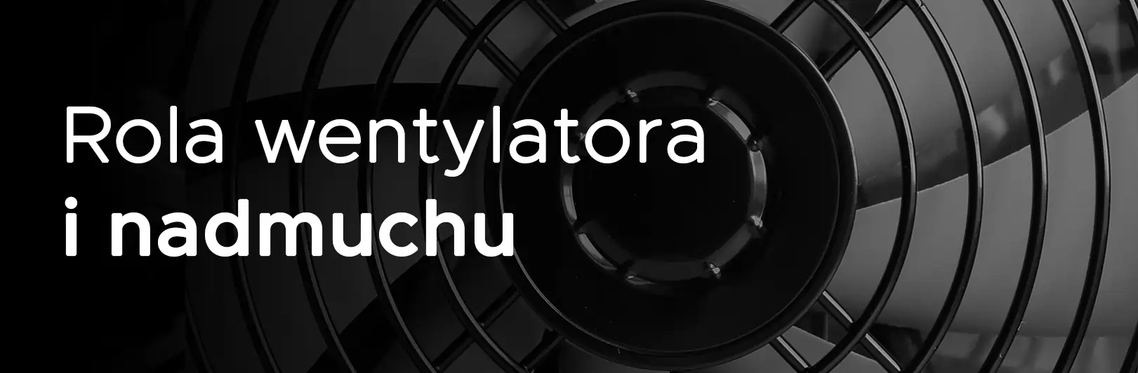 Wentylator w kotle 5 klasy na pellet z podajnikiem Stalmark, odpowiadający za prawidłowy nadmuch i efektywne spalanie, urządzenie objęte dofinansowaniem.