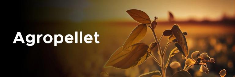 Pellet z odpadów rolniczych można wrzucić do pieca na pellet i używać jako paliwa do ogrzania budynku