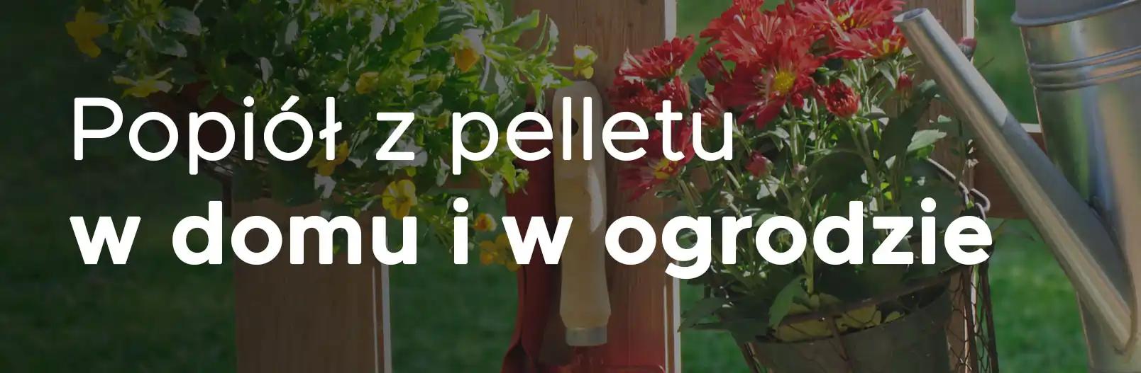 Jak wykorzystać popiół z pelletu do ciekawych zastosowań