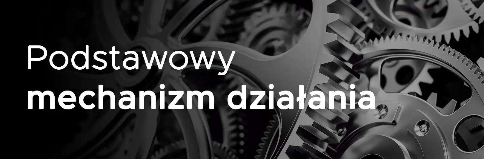 Podstawowy mechanizm działania kotła 5 klasy na pellet z podajnikiem Stalmark, elementy odpowiedzialne za automatyczną pracę urządzenia objętego dofinansowaniem.