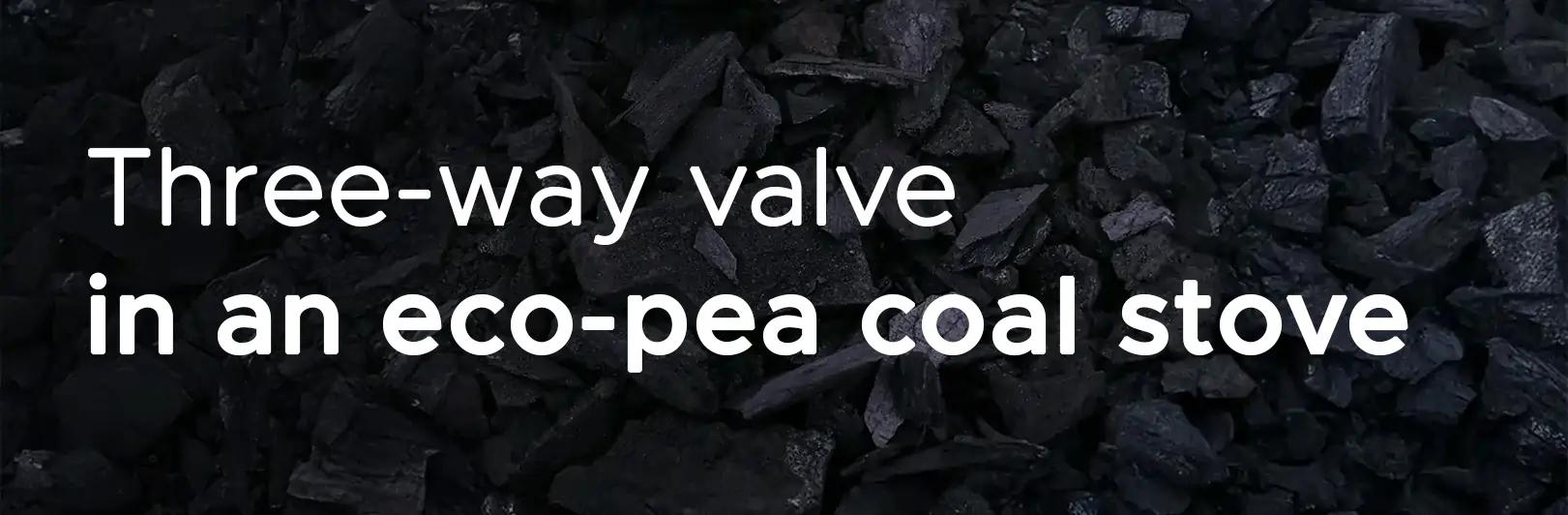 title explaining text on eco-pea coal background