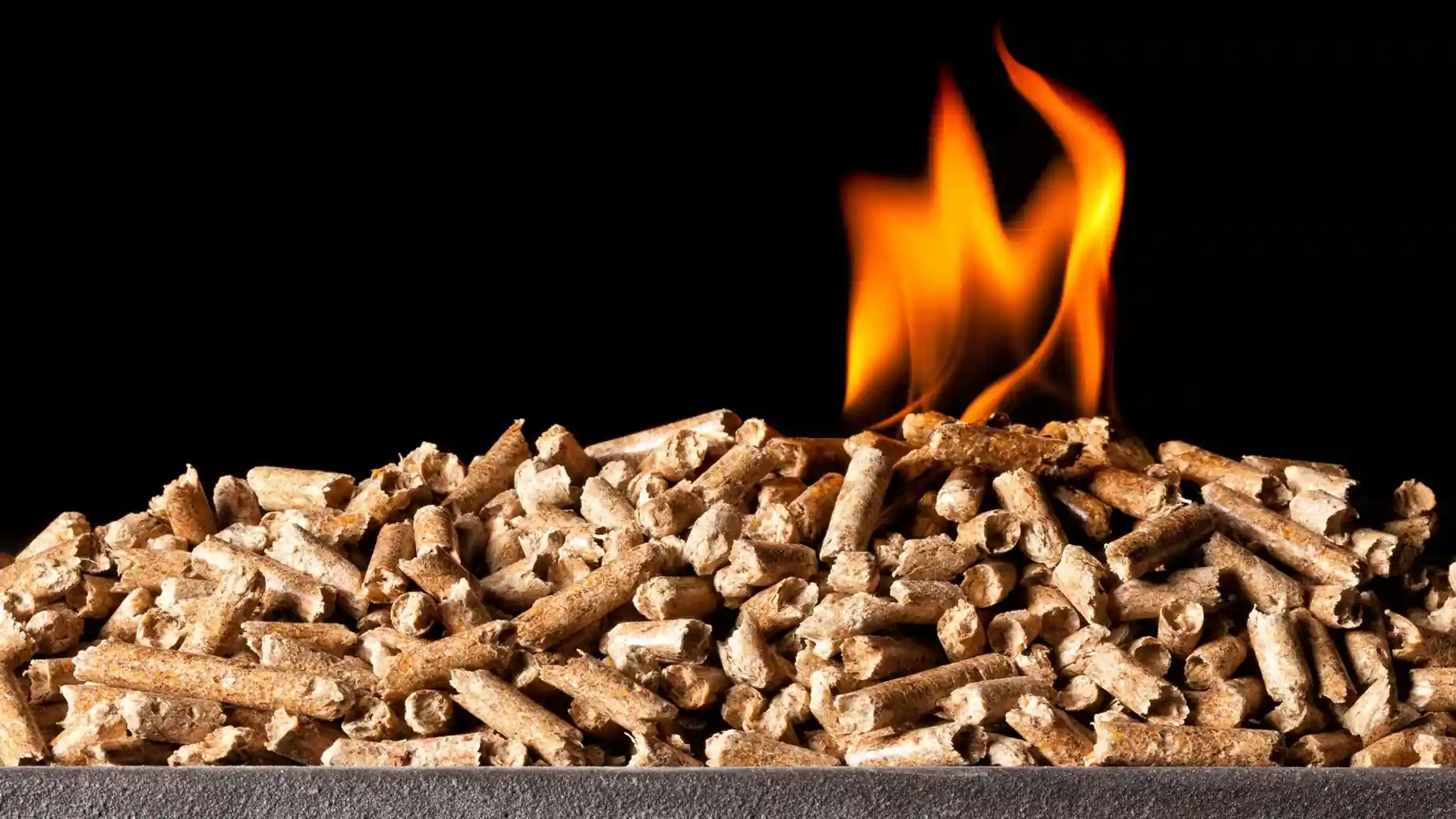 płonący pellet do kotła pelletowego Stalmark na czarnym tle